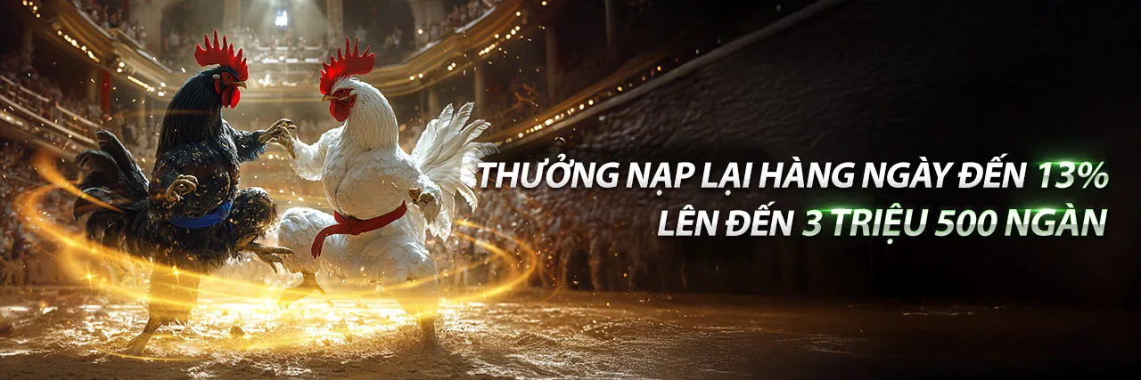 Đá gà trực tuyến b66 đăng ký